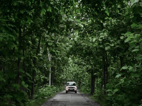 Corbett Escape